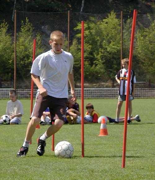 obrázek: Fotbalisté Plzně hubnou, v pondělí zahajují přípravu