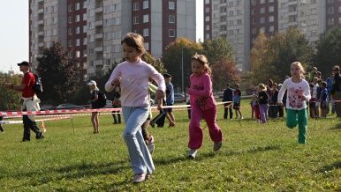 obrázek: Sport a tělovýchovu město Plzeň podpořilo osmi miliony  