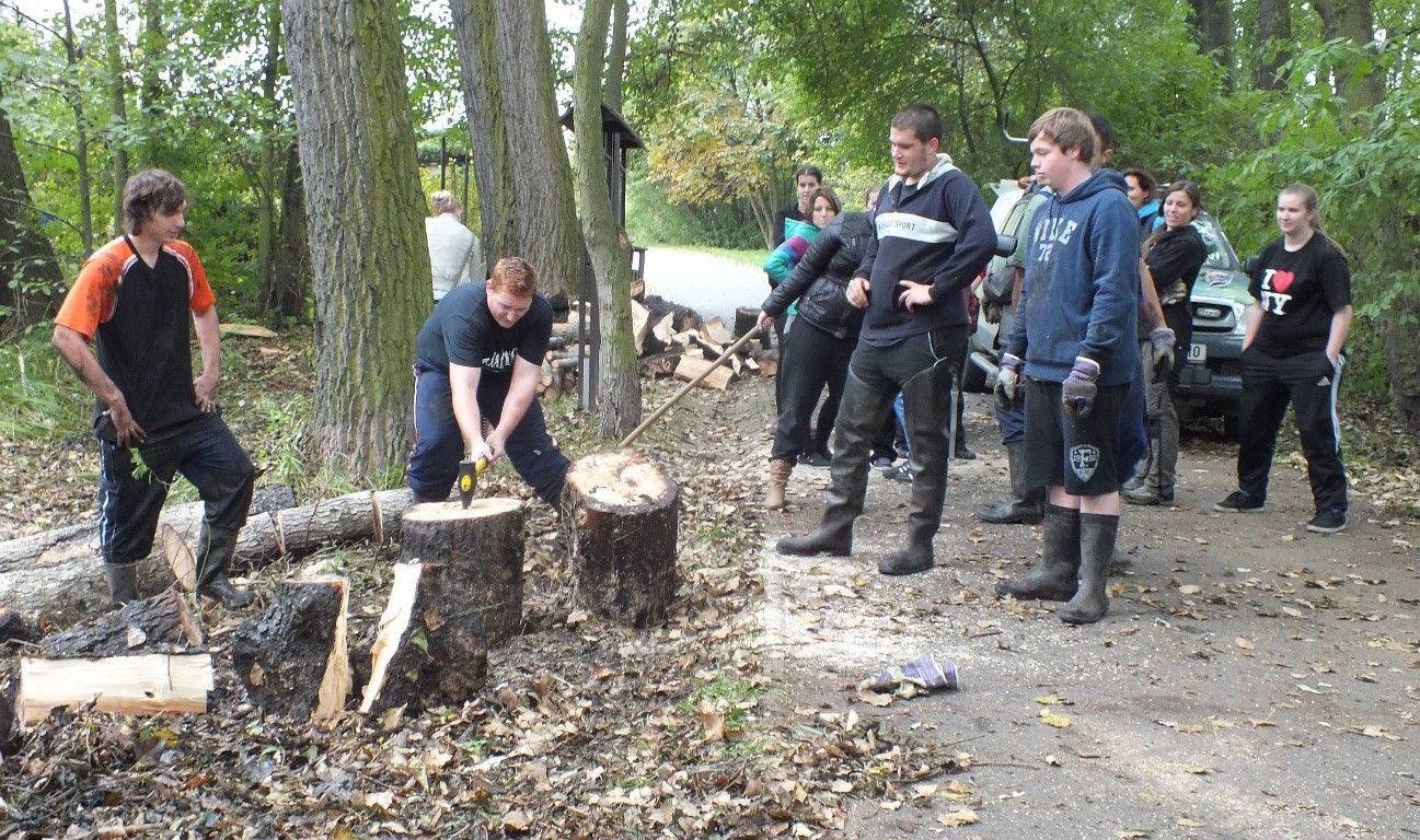 obrázek: Středoškoláci v Doubravce čistili tůňky pro žáby 