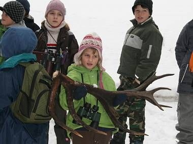 obrázek: Šumava láká na zimní pozorování a krmení jelenů