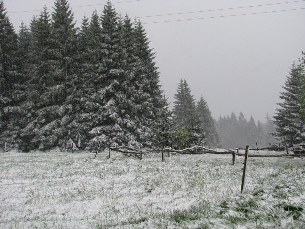 obrázek: Šumava zažívá nejstudenější konec května od roku 1991 