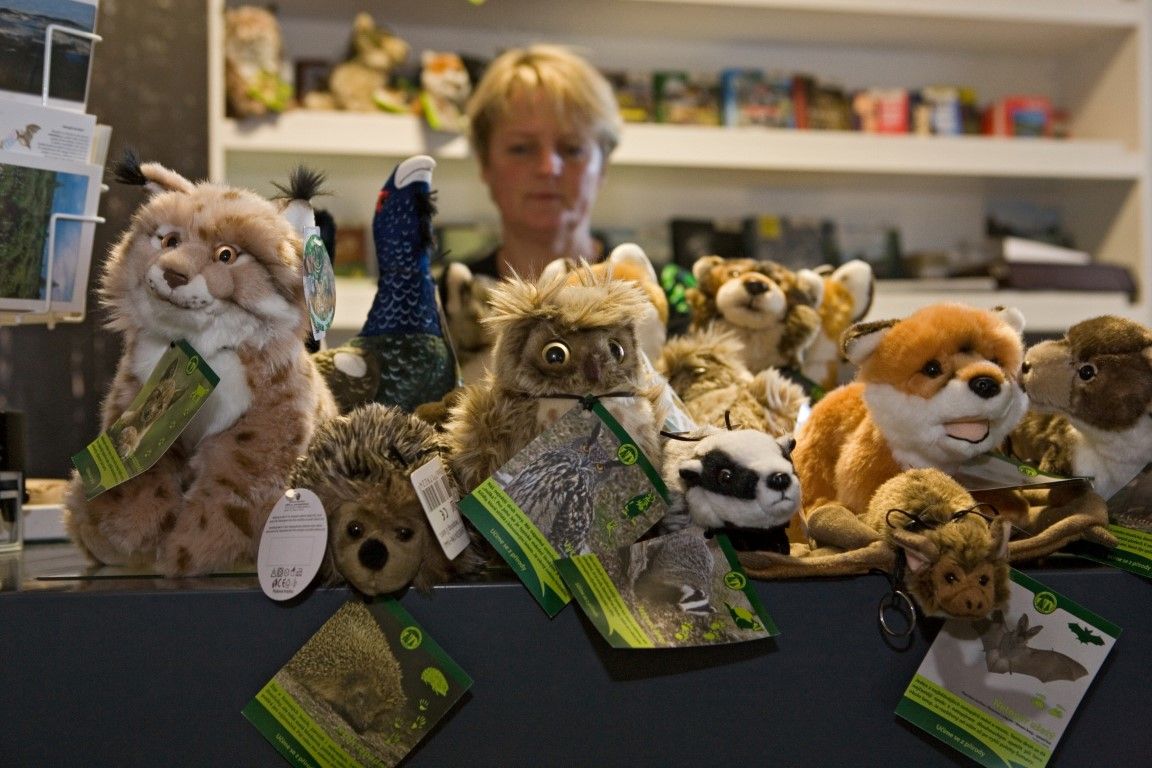 obrázek: Šumavská informační střediska obsadili plyšáci 