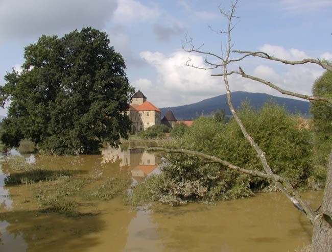obrázek: Telefonická non stop linka pomáhá postiženým povodněmi