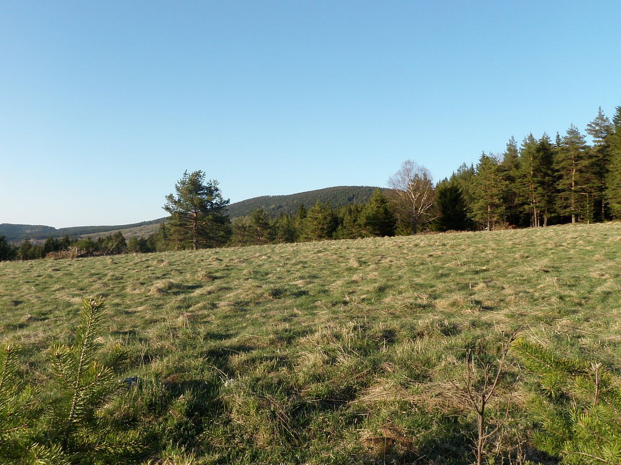 obrázek: U Javoří Pily objevili nejvýš položené pravěké sídliště