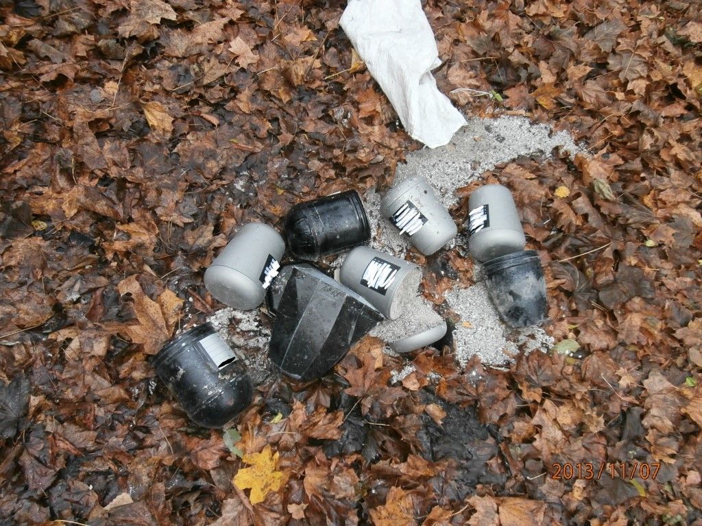 obrázek: U plzeňského potoka leželo osm uren i s popelem