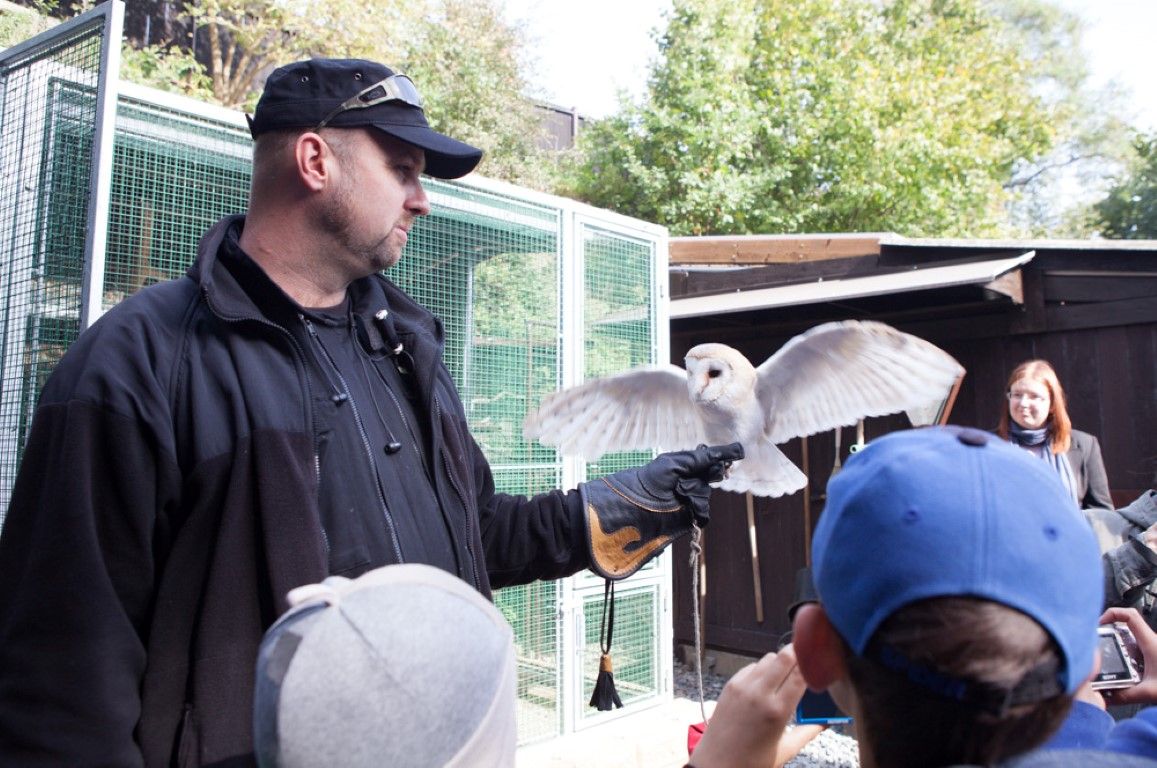 obrázek: Účastníkům ornitologické vycházky zazpívala stovka ptáků 