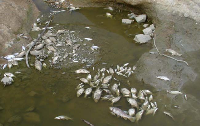 obrázek: Plzeň pomůže Terezínu 250 tisíci na odstraňování škod 