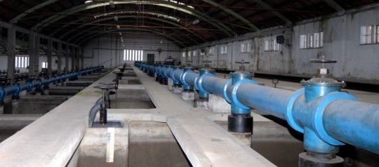 obrázek: V úpravně vody na Homolce se od ledna chovají ryby