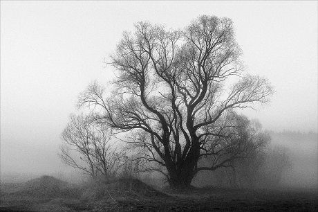 obrázek: Výstava fotografií Pavla Hanzlíka