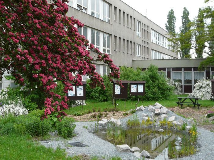 obrázek: Z doubravecké školy odchází do Lobez třída i s učitelkou