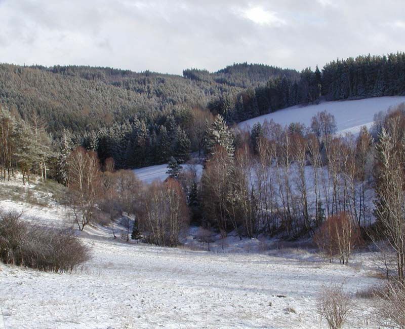 obrázek: Hejtmani trvají na svých stanoviscích ohledně Brd