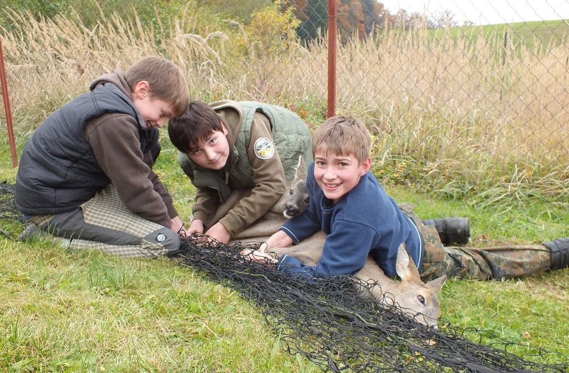 obrázek: Zvířecí záchranáři pomohli srnkám, prase nepřežilo