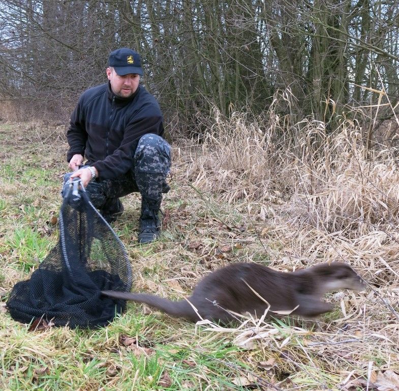 obrázek: Desítky zvířat a ptáků teď hynou na Plzeňsku pod koly