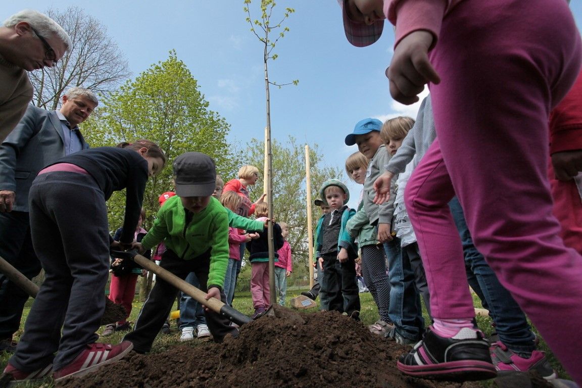 obrázek: Děti v Borském parku vysadily stromy. Zničili je vandalové
