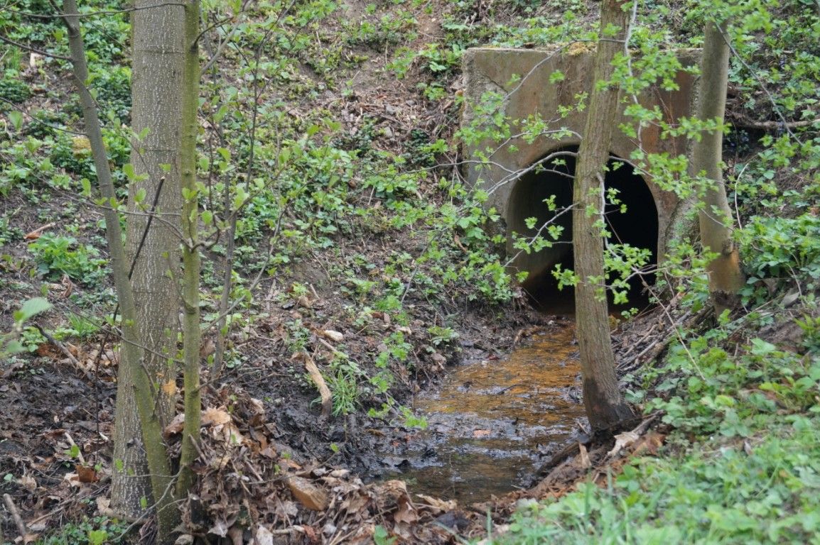 obrázek: Děti ze školky se poleptaly na vycházce v Borském parku, chlapec je v nemocnici