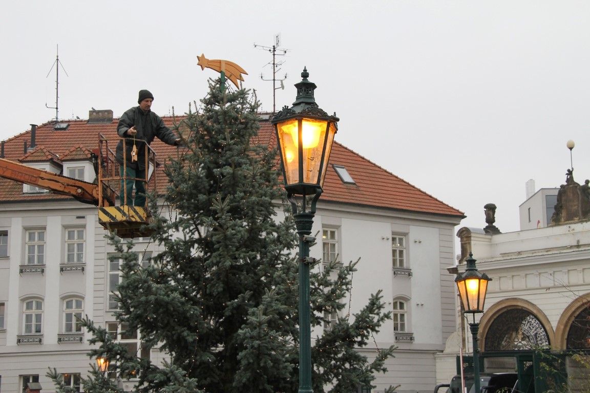 obrázek: Doneste dřevěné ozdoby na pivovarský strom a vyhrajte pivo  