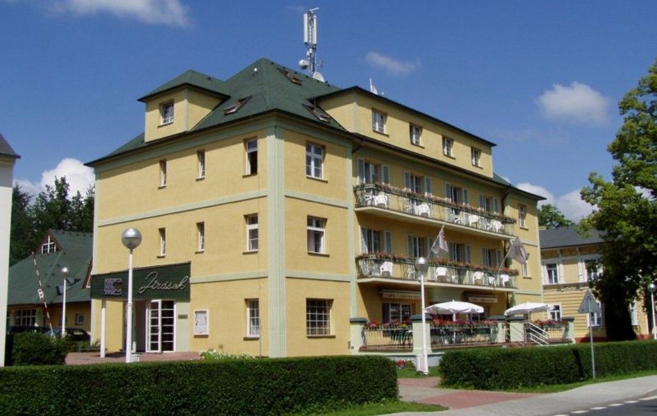 obrázek: Dřevosochařské sympozium začíná v Konstantinových Lázních 