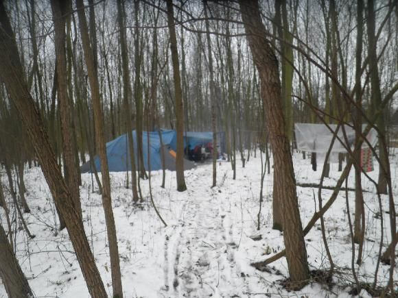 obrázek: Dvojice se usídlila pod Homolkou