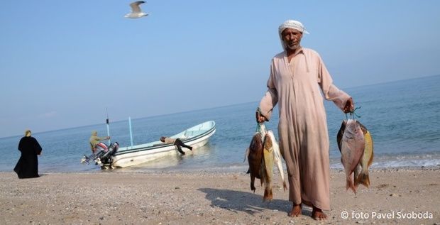 obrázek: Festival arabské kultury se v Plzni představí již popáté
