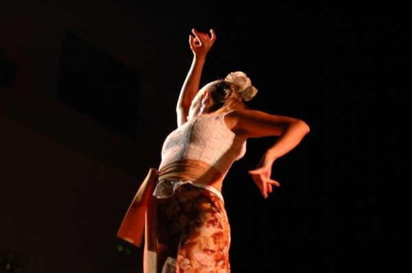 obrázek: Flamenco, film, jídlo. V Plzni ve středu startuje Mediterránea