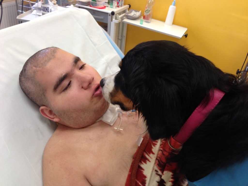 obrázek: FN Plzeň Bory zavedla novinku  -  psy v rolích doktorů