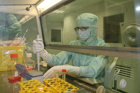 obrázek: FN Plzeň zavedla novou léčbu po transplantaci kostní dřeně