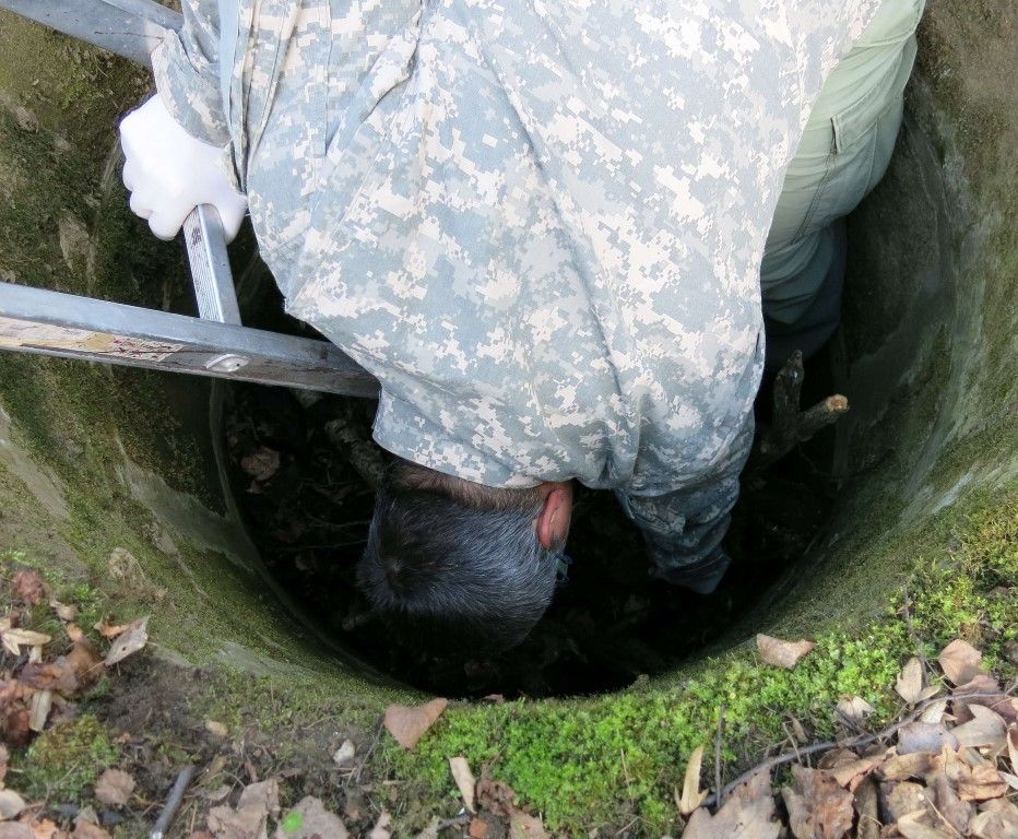 obrázek: Jáma v Zábělé se stala pastí pro mloky a další živočichy 