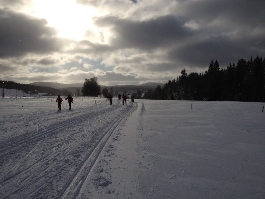 obrázek: Šumavě konečně nabízí běžkařům zimu