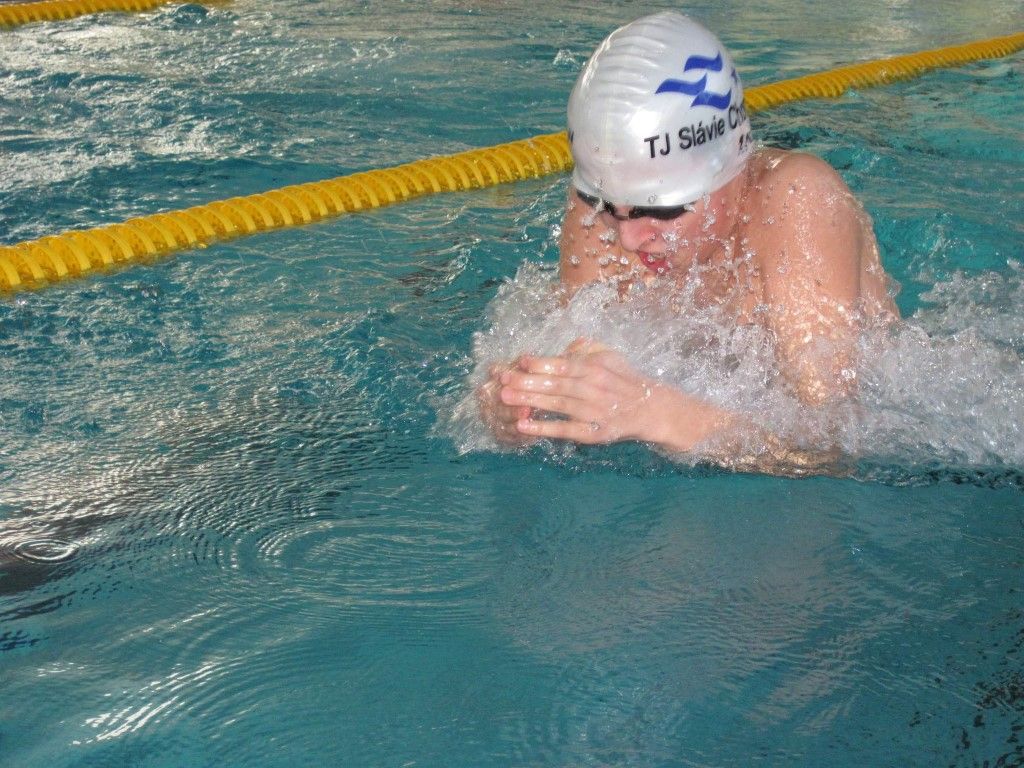 obrázek: Košařův memoriál s prvenstvím Radbuzy a novým rekordem