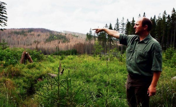 obrázek: Kraj nesouhlasí s odvoláním ředitele NP Šumava Jiřího Mánka