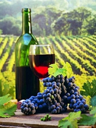 obrázek: Lahodné řecké speciality v Plzni!