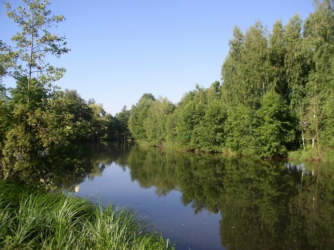 Město chce podpořit projekt Čistá voda pro Plzeň 