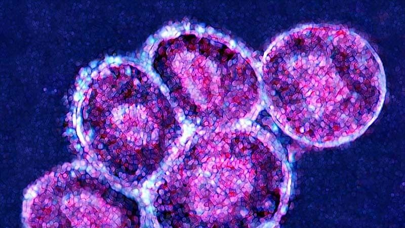 obrázek: Michal se stal v úterý v Plzni pětistým dárcem kostní dřeně 