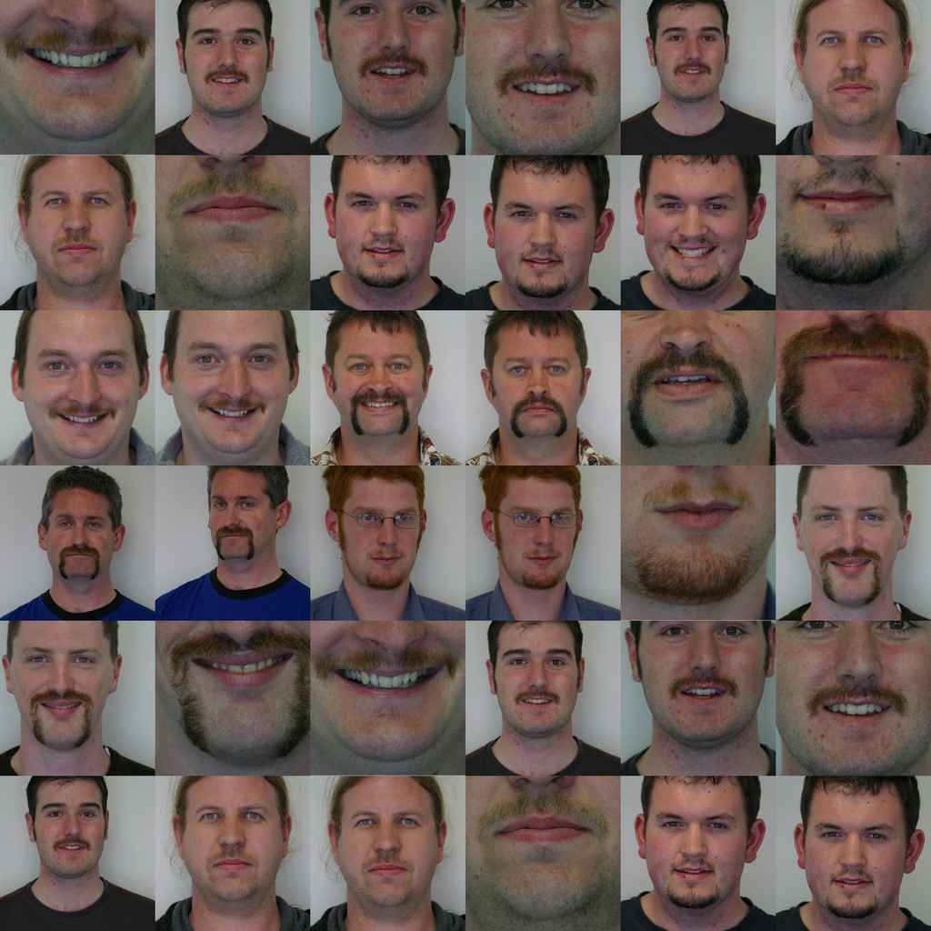 obrázek: Movember se svým karavanem a urology je do čtvrtka v Plzni