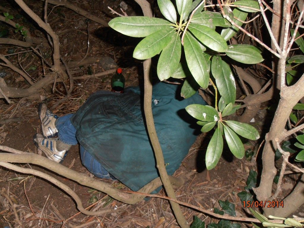 obrázek: Muž si ustlal před Západočeským muzeem, zválel keře