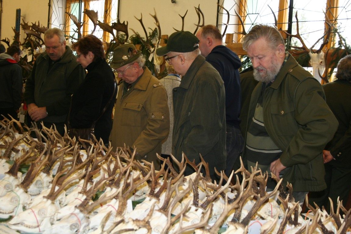 obrázek: Myslivci vystaví v Rokycanech v pátek a v sobotu trofeje