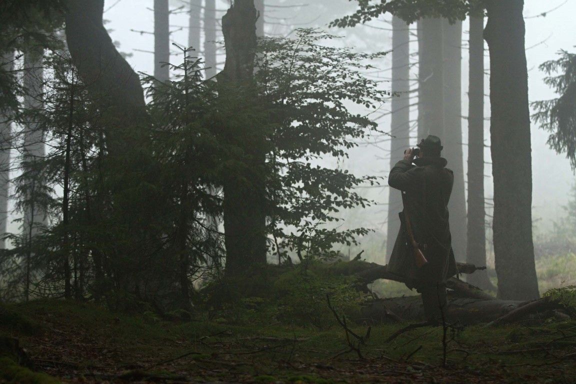 obrázek: Na Šumavě se podařilo splnit plán lovu jelení zvěře 