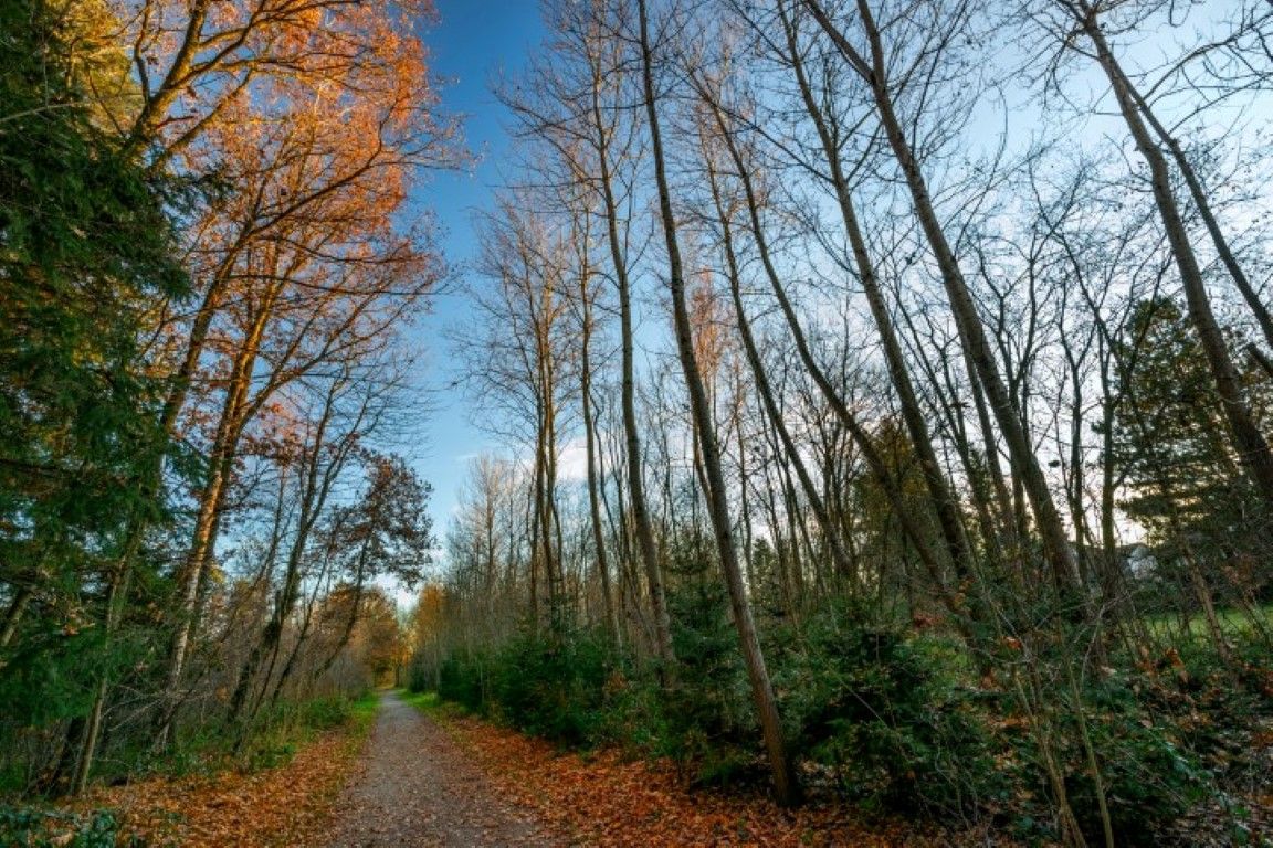 obrázek: Národní park promarněných příležitostí