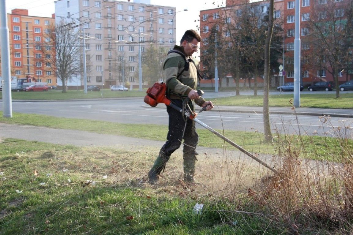 obrázek: Neumíme se domluvit? V Plzni sekal trávu místostarosta