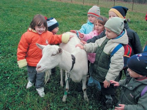 obrázek: Neziskovky v kraji mají svého nového radního Šobra