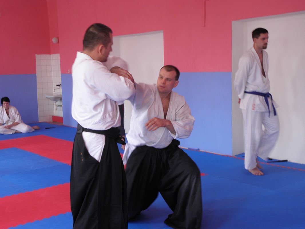 obrázek: Plzeňáci se prosadili na Mistrovství ČR Alkampf-jitsu