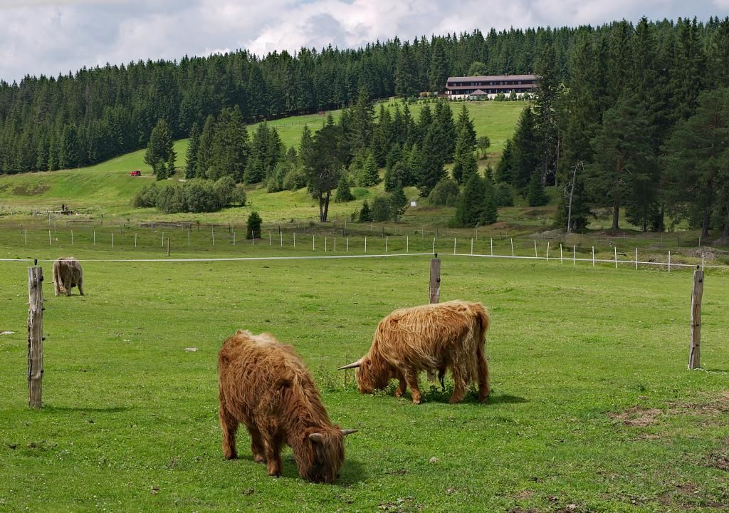 obrázek: Plzeňský kraj podpoří rozvoj elektromobility na Šumavě