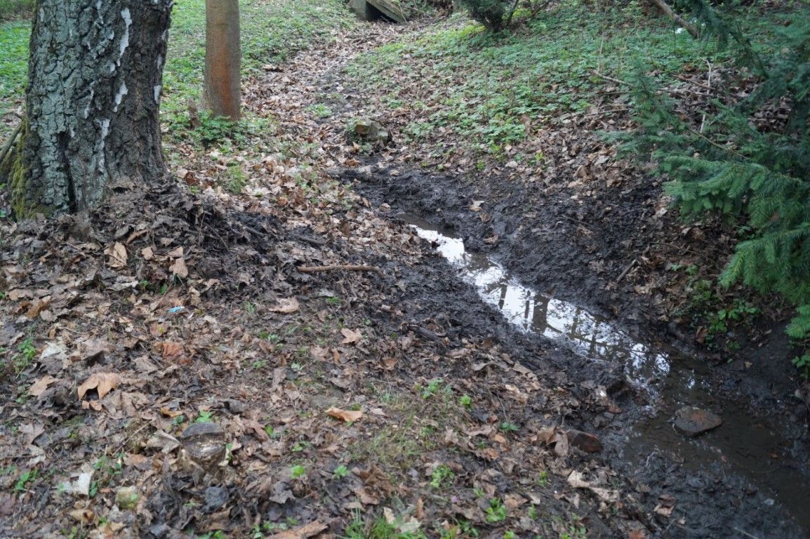obrázek: Plzeňští policisté prohledávali Borský park kvůli chemikáliím 