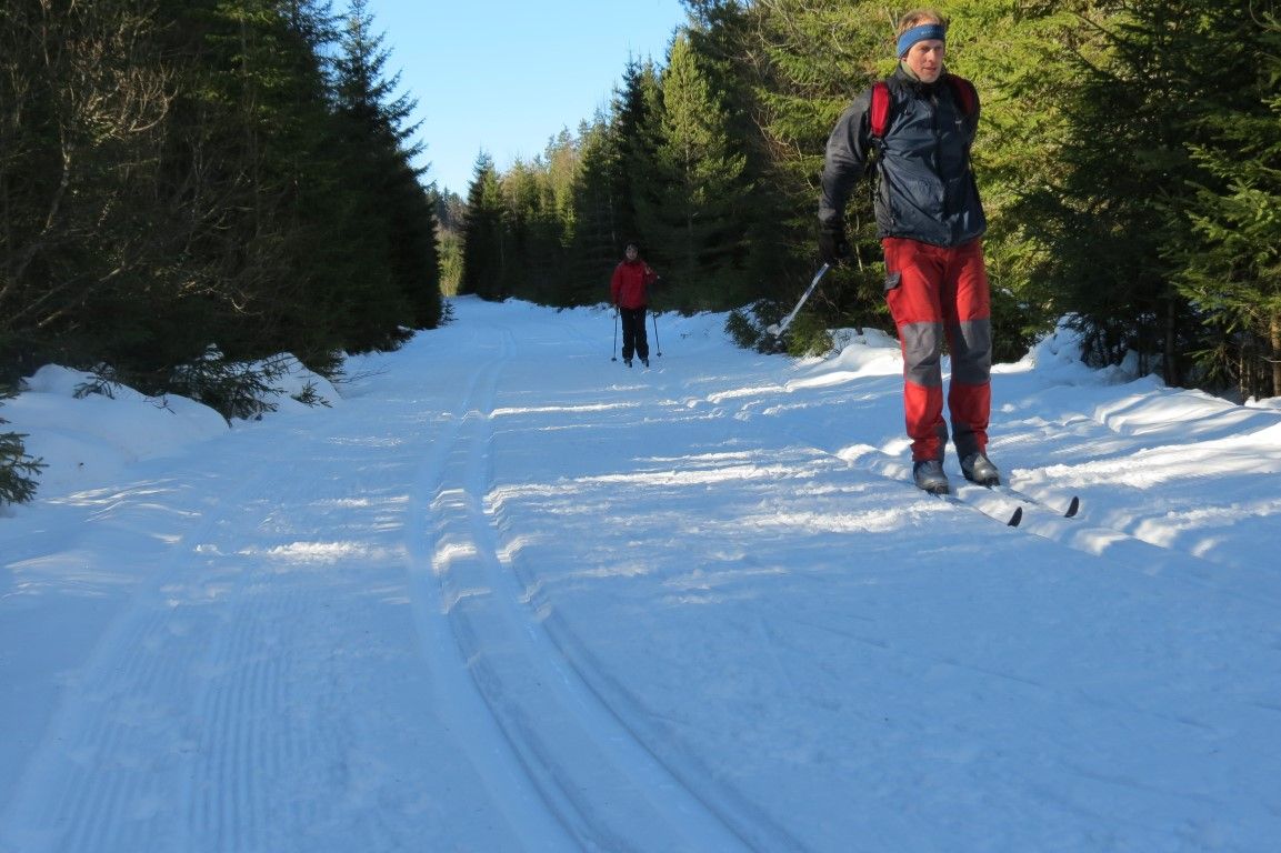obrázek: Podmínky na Šumavě nejsou ideální, ale běžkovat se dá 