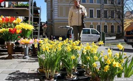 obrázek: Předsunutá prodejní místa v Plzni znají pravidla 