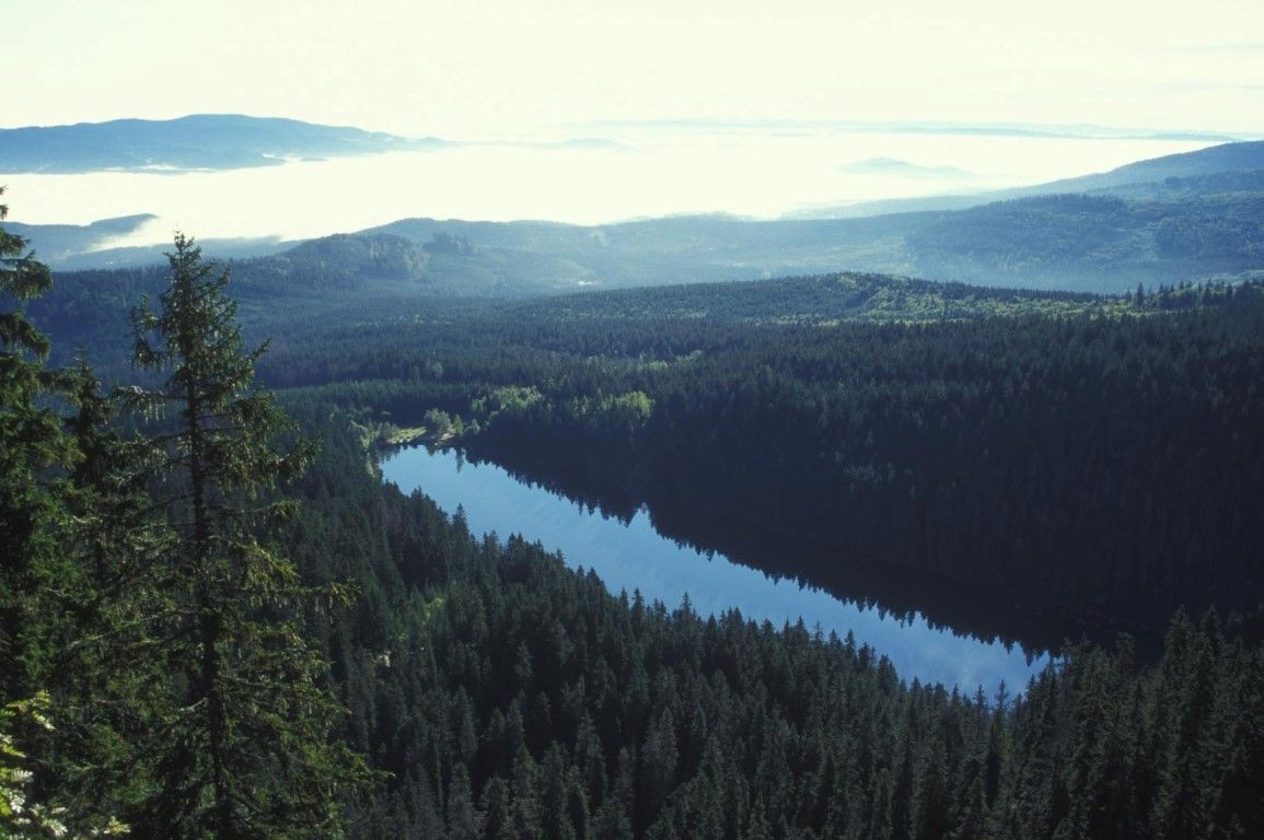obrázek: Přijďte se projít přírodou Šumavy. V rokycanské sokolovně 