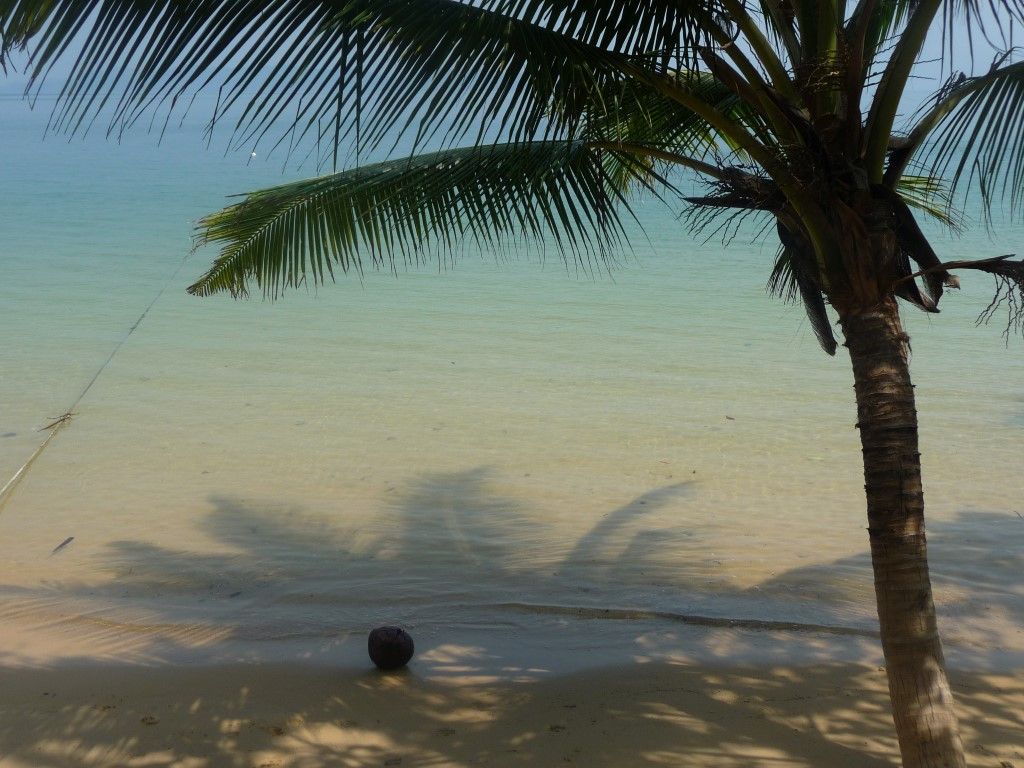 obrázek: Řada lidí z Plzeňského kraje tráví tyto dny na pláži