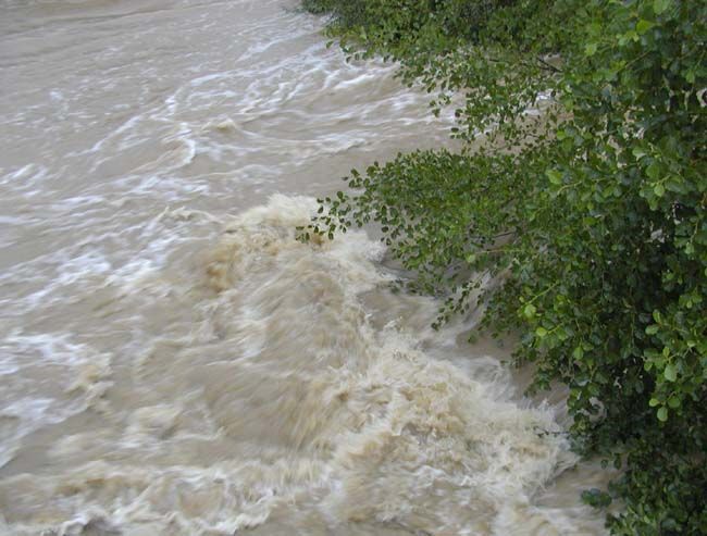 obrázek: Mladíka odnesla rozbouřená Berounka