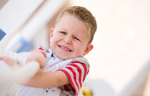 obrázek: S problémy v sociální oblasti pomůže Plzeňákům e-poradna 