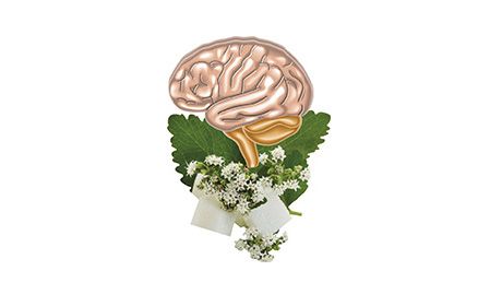 obrázek: Specialisté na EEG biofeedback v Plzni